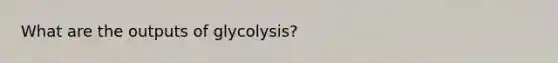 What are the outputs of glycolysis?