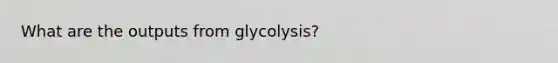 What are the outputs from glycolysis?