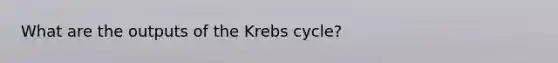 What are the outputs of the Krebs cycle?