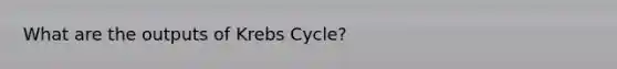 What are the outputs of Krebs Cycle?