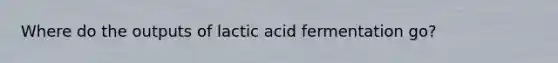 Where do the outputs of lactic acid fermentation go?