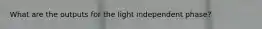 What are the outputs for the light independent phase?