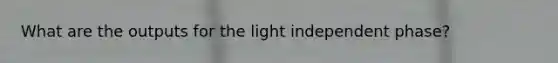 What are the outputs for the light independent phase?