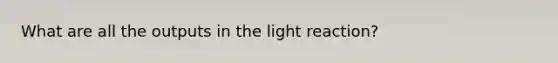 What are all the outputs in the light reaction?