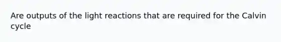 Are outputs of the light reactions that are required for the Calvin cycle