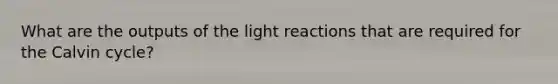 What are the outputs of the light reactions that are required for the Calvin cycle?