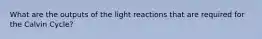 What are the outputs of the light reactions that are required for the Calvin Cycle?