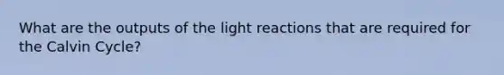 What are the outputs of the light reactions that are required for the Calvin Cycle?