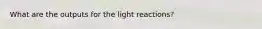 What are the outputs for the light reactions?