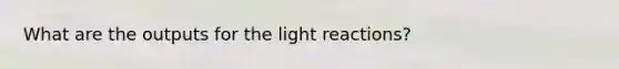 What are the outputs for the light reactions?