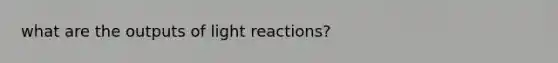 what are the outputs of light reactions?