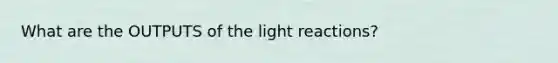 What are the OUTPUTS of the light reactions?