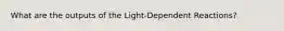 What are the outputs of the Light-Dependent Reactions?