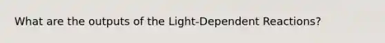 What are the outputs of the Light-Dependent Reactions?