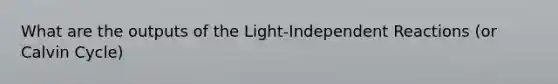 What are the outputs of the Light-Independent Reactions (or Calvin Cycle)