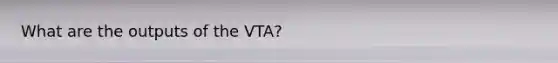 What are the outputs of the VTA?