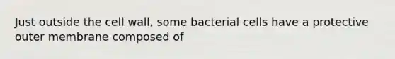 Just outside the cell wall, some bacterial cells have a protective outer membrane composed of