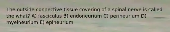 The outside connective tissue covering of a spinal nerve is called the what? A) fasciculus B) endoneurium C) perineurium D) myelneurium E) epineurium