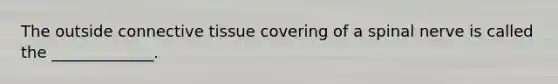 The outside connective tissue covering of a spinal nerve is called the _____________.