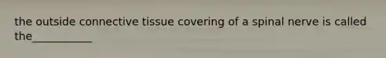 the outside connective tissue covering of a spinal nerve is called the___________