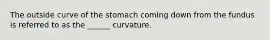 The outside curve of the stomach coming down from the fundus is referred to as the ______ curvature.