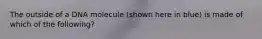 The outside of a DNA molecule (shown here in blue) is made of which of the following?