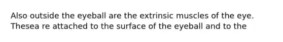 Also outside the eyeball are the extrinsic muscles of the eye. Thesea re attached to the surface of the eyeball and to the