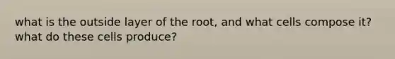 what is the outside layer of the root, and what cells compose it? what do these cells produce?