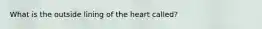 What is the outside lining of the heart called?