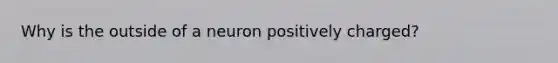 Why is the outside of a neuron positively charged?