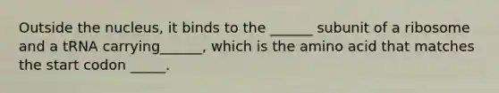 Outside the nucleus, it binds to the ______ subunit of a ribosome and a tRNA carrying______, which is the amino acid that matches the start codon _____.