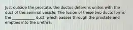 Just outside the prostate, the ductus deferens unites with the duct of the seminal vesicle. The fusion of these two ducts forms the ____________ duct, which passes through the prostate and empties into the urethra.