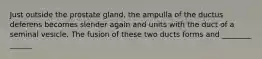 Just outside the prostate gland, the ampulla of the ductus deferens becomes slender again and units with the duct of a seminal vesicle. The fusion of these two ducts forms and ________ ______
