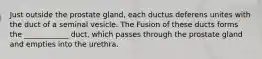 Just outside the prostate gland, each ductus deferens unites with the duct of a seminal vesicle. The Fusion of these ducts forms the ____________ duct, which passes through the prostate gland and empties into the urethra.