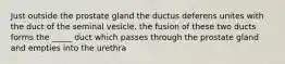 Just outside the prostate gland the ductus deferens unites with the duct of the seminal vesicle. the fusion of these two ducts forms the _____ duct which passes through the prostate gland and empties into the urethra