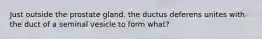 Just outside the prostate gland, the ductus deferens unites with the duct of a seminal vesicle to form what?