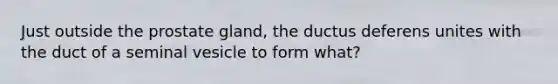 Just outside the prostate gland, the ductus deferens unites with the duct of a seminal vesicle to form what?