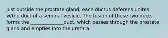 Just outside the prostate gland, each ductus deferens unites w/the duct of a seminal vesicle. The fusion of these two ducts forms the ______________duct, which passes through the prostate gland and empties into the urethra