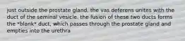 just outside the prostate gland, the vas deferens unites with the duct of the seminal vesicle. the fusion of these two ducts forms the *blank* duct, which passes through the prostate gland and empties into the urethra