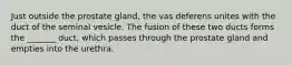 Just outside the prostate gland, the vas deferens unites with the duct of the seminal vesicle. The fusion of these two ducts forms the _______ duct, which passes through the prostate gland and empties into the urethra.