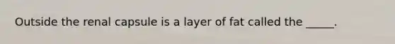 Outside the renal capsule is a layer of fat called the _____.