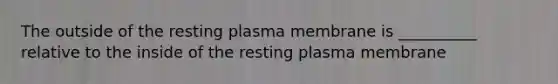 The outside of the resting plasma membrane is __________ relative to the inside of the resting plasma membrane