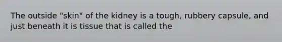 The outside "skin" of the kidney is a tough, rubbery capsule, and just beneath it is tissue that is called the