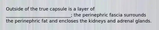 Outside of the true capsule is a layer of _____________________________; the perinephric fascia surrounds the perinephric fat and encloses the kidneys and adrenal glands.