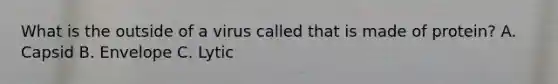 What is the outside of a virus called that is made of protein? A. Capsid B. Envelope C. Lytic