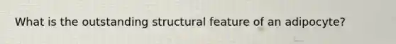 What is the outstanding structural feature of an adipocyte?