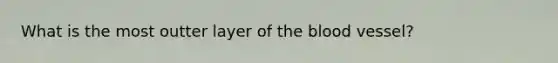 What is the most outter layer of the blood vessel?