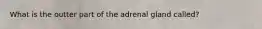 What is the outter part of the adrenal gland called?