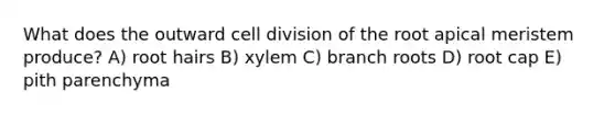 What does the outward cell division of the root apical meristem produce? A) root hairs B) xylem C) branch roots D) root cap E) pith parenchyma