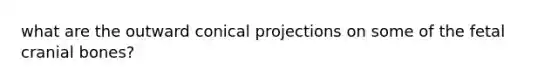 what are the outward conical projections on some of the fetal cranial bones?